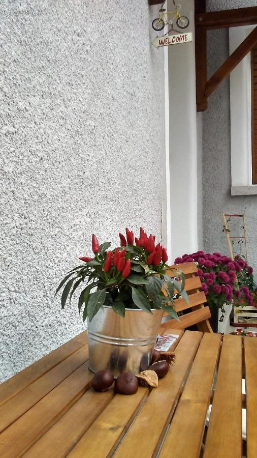 B Apartments - Bike Apartment Timișoara Zewnętrze zdjęcie
